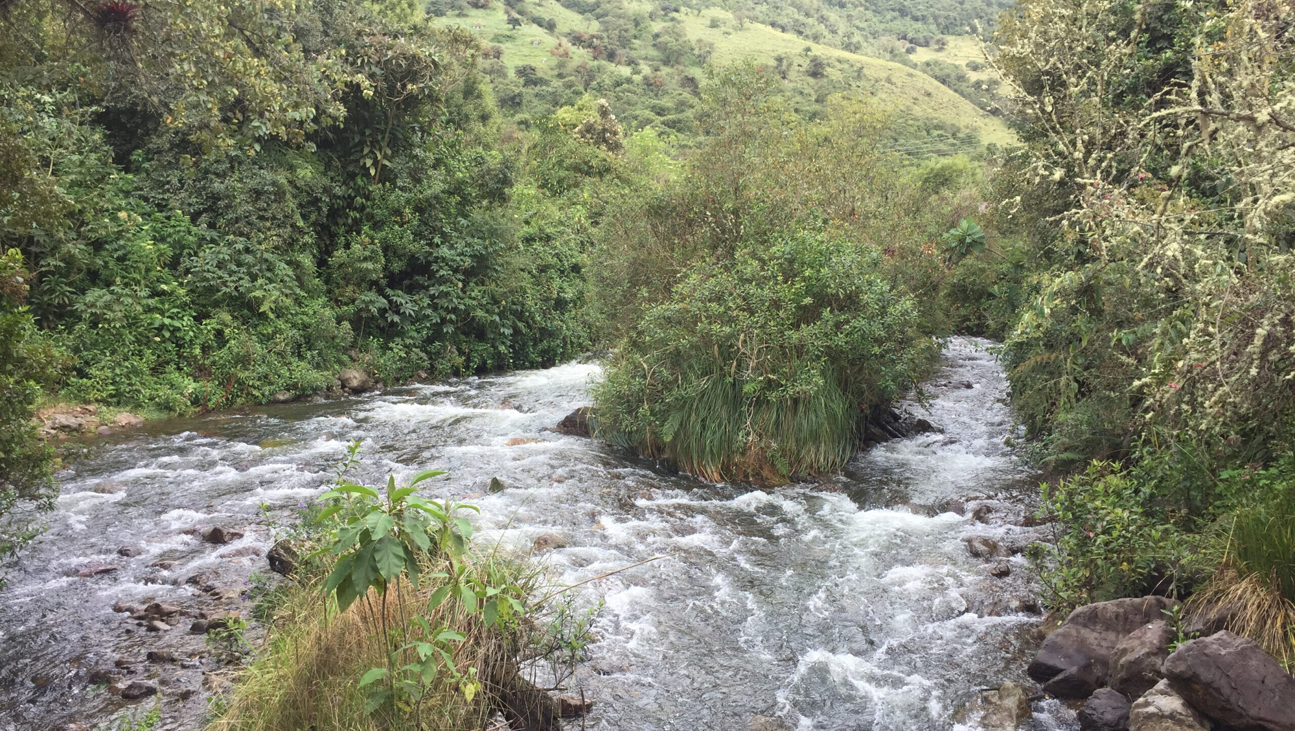 Papallacta Hot Springs with natural steam
