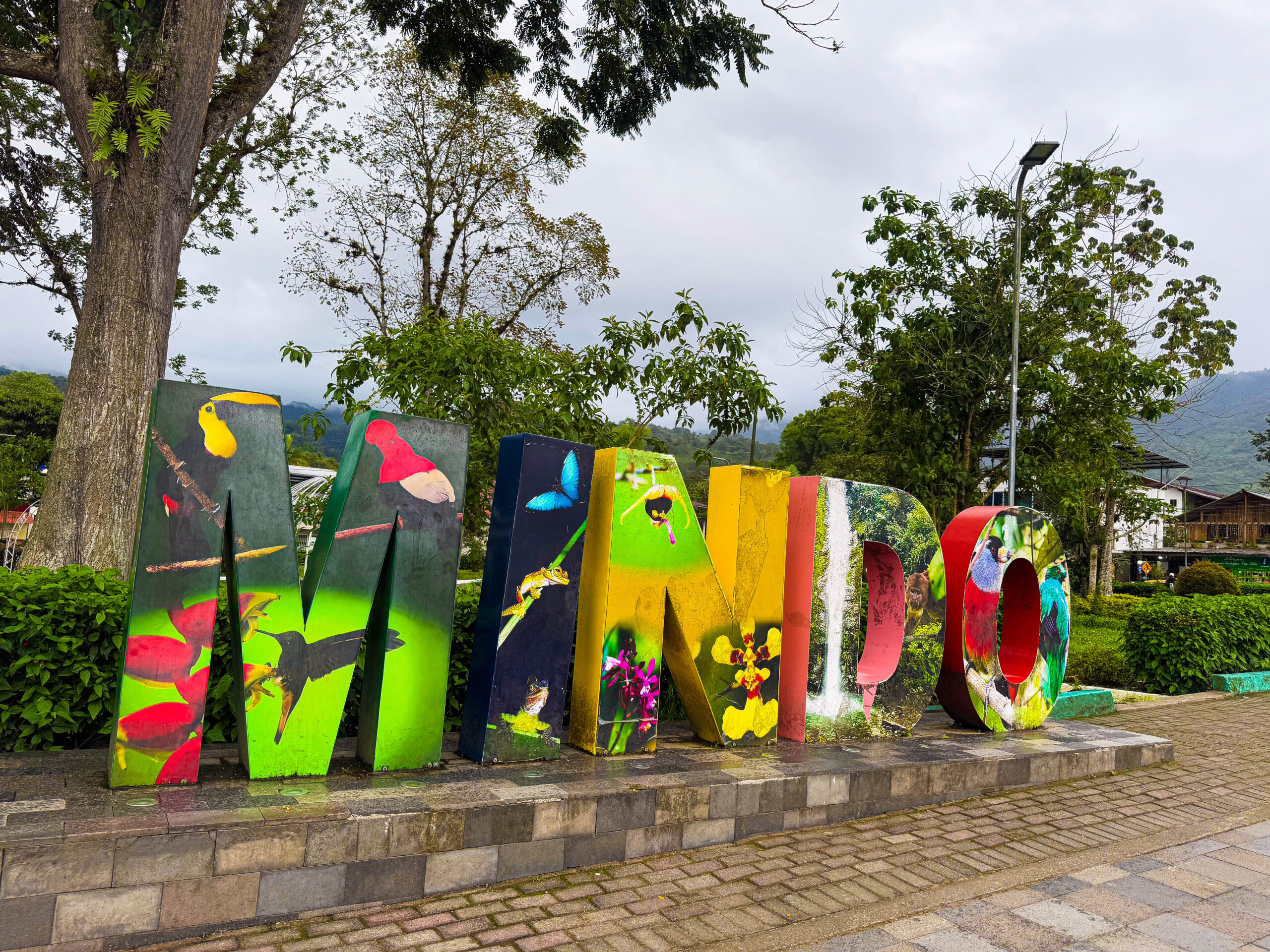 best time to visit mindo