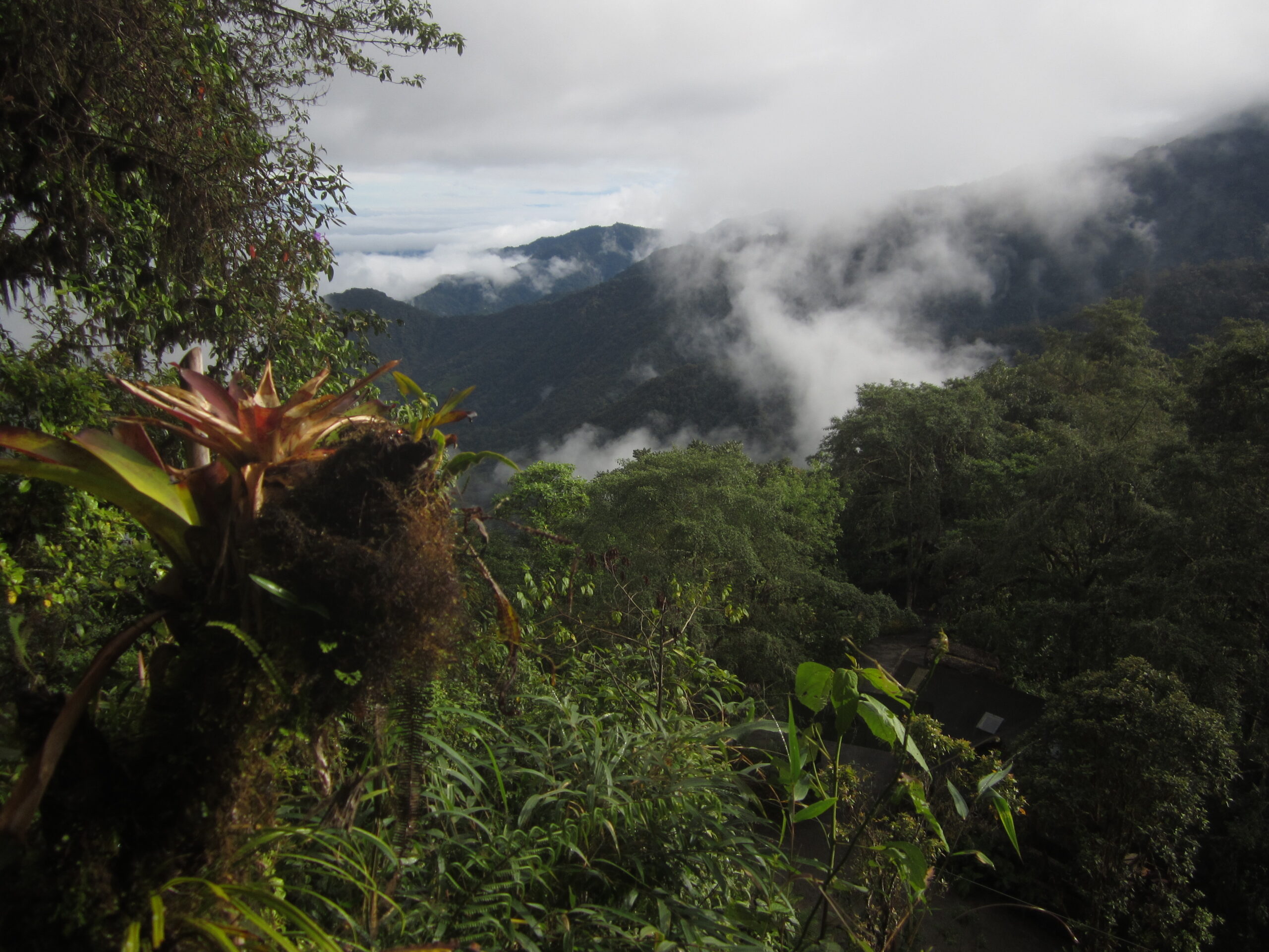 Mindo Tour Equator-Expeditions Mindo Tour