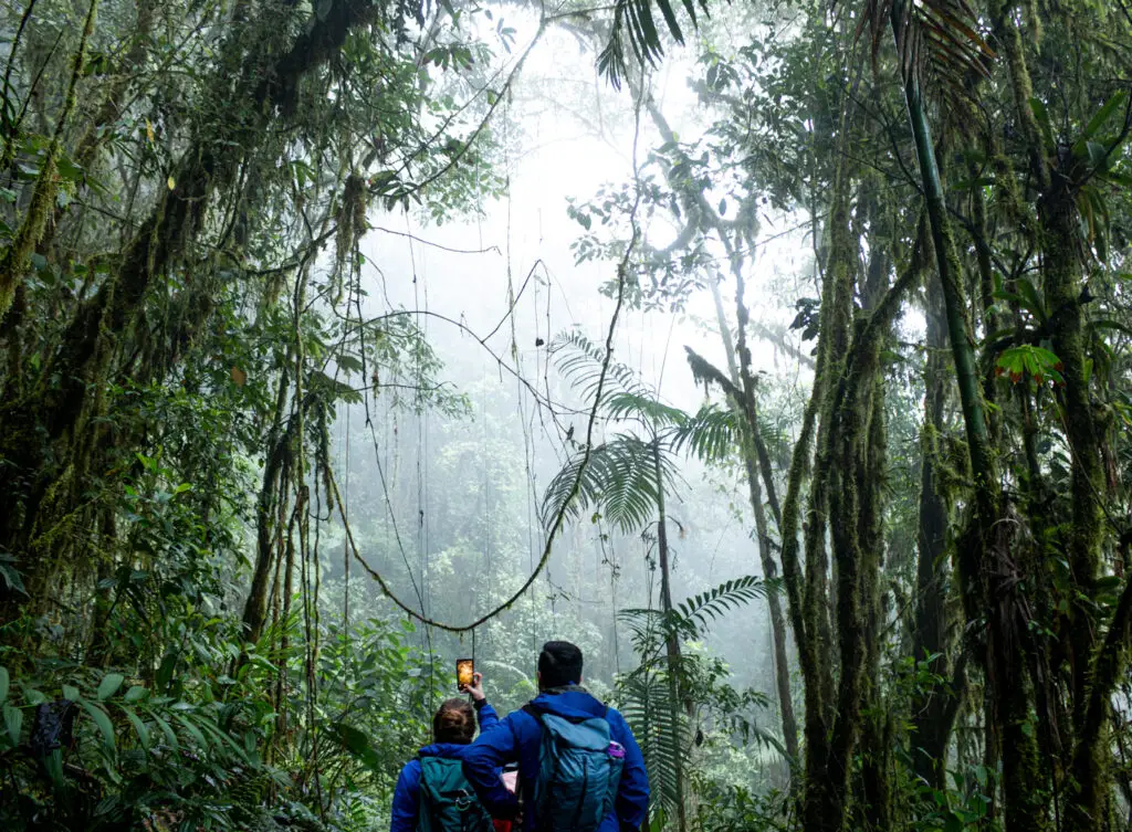 Two hikers with backpacks in a foggy rainforest, taking a photo with a smartphone.
