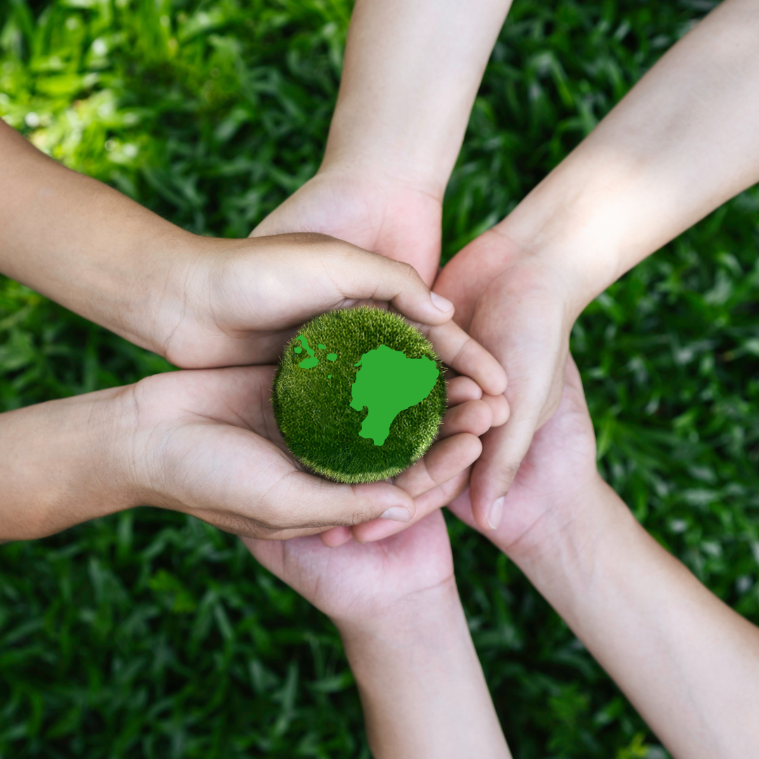 Respect the Enviroment