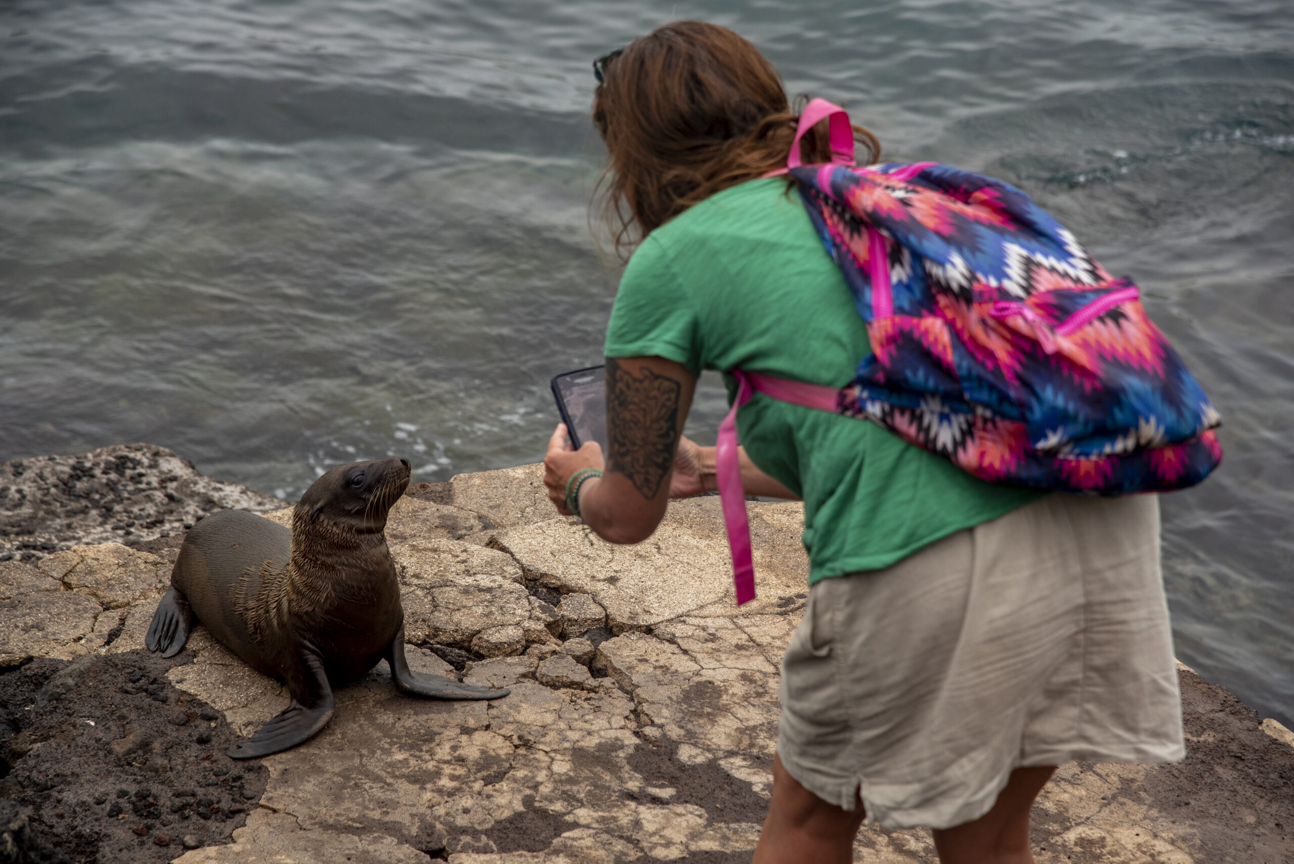 Wildlife Watching – Galapagos from Bonita Passengers watching wildlife from the Bonita cruise ship