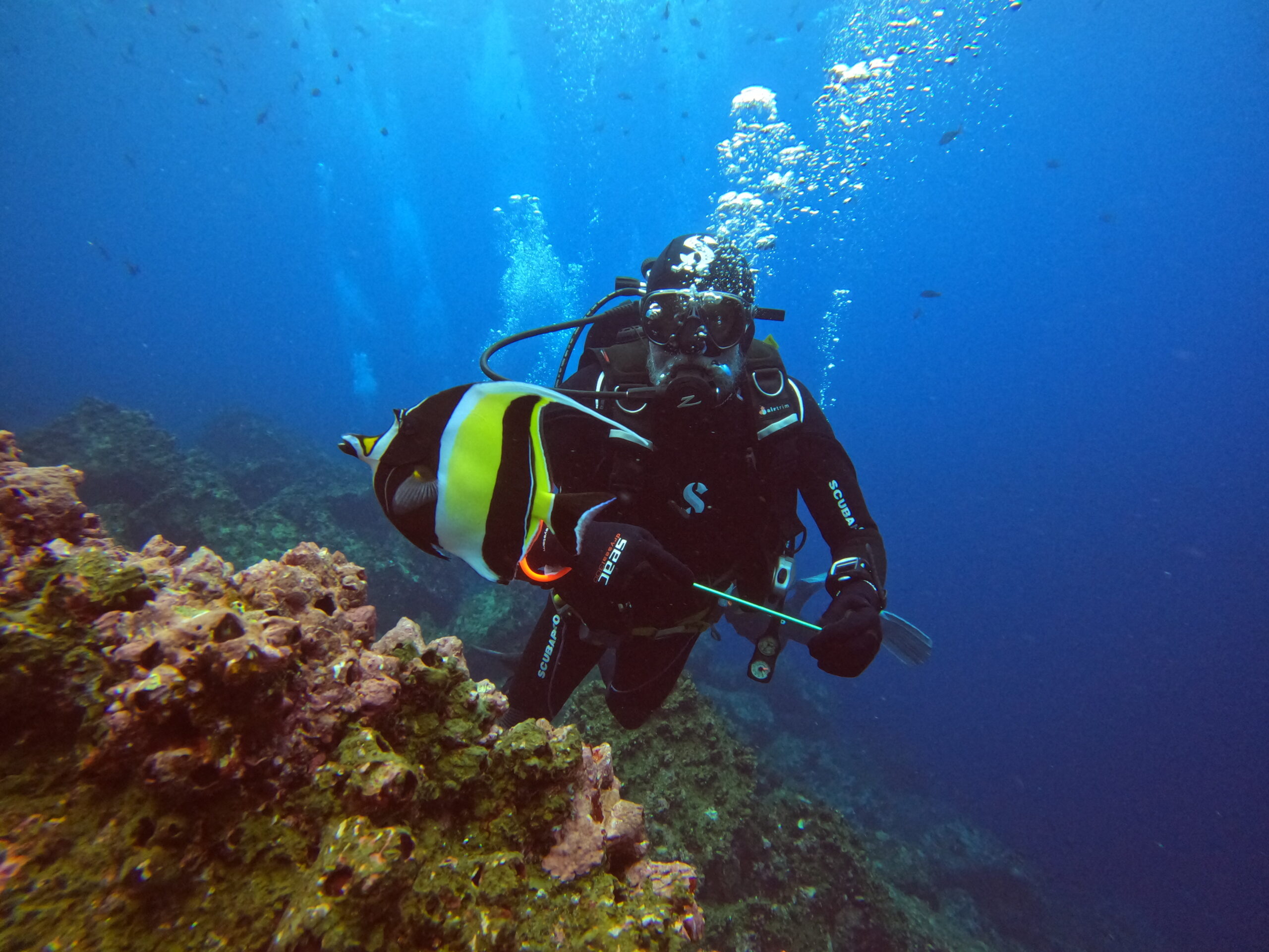Detalles interiores del crucero Galaxy Diver II
