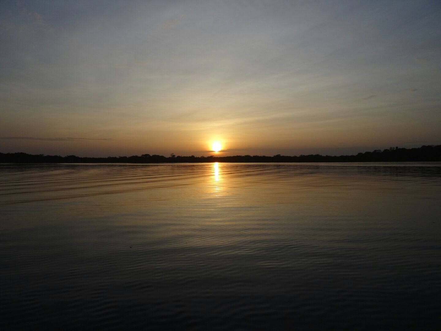 Cuyabeno landscape in the Ecuadorian Amazon Equator-Expeditions Cuyabeno landscape in the Ecuadorian Amazon