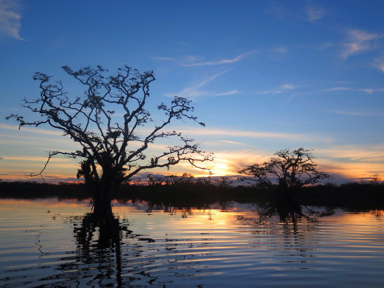 Zancudococha Lagoon Equator-Expeditions. Zancudococha Lagoon
