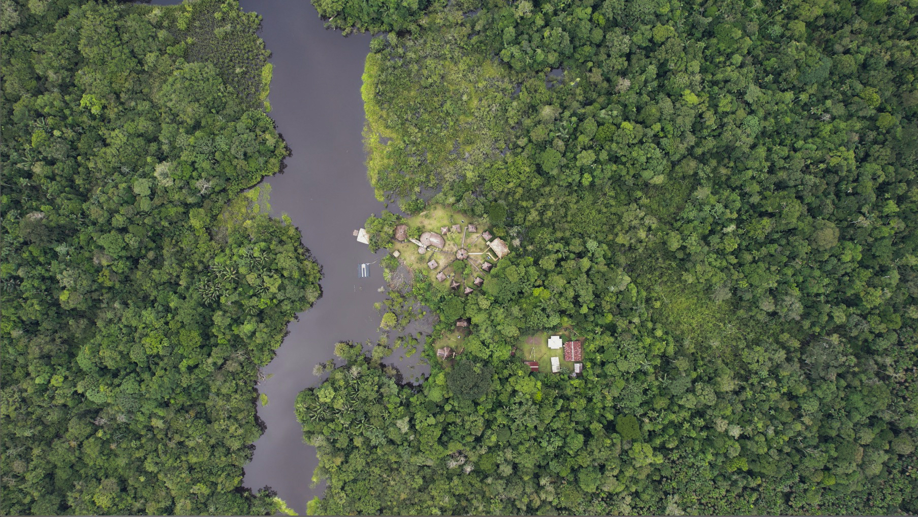 View Yasuni Ecuadorian Amazon Equator-Expeditions View Yasuni Ecuadorian Amazon