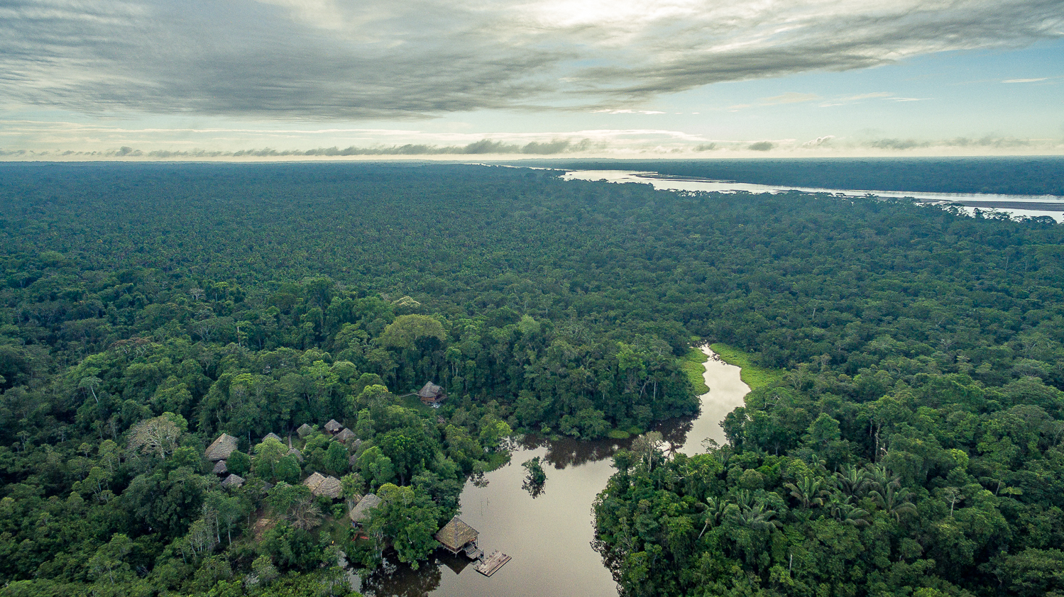 Yasuni Amazon Ecuador Equator-Expeditions Yasuni Amazon Ecuador