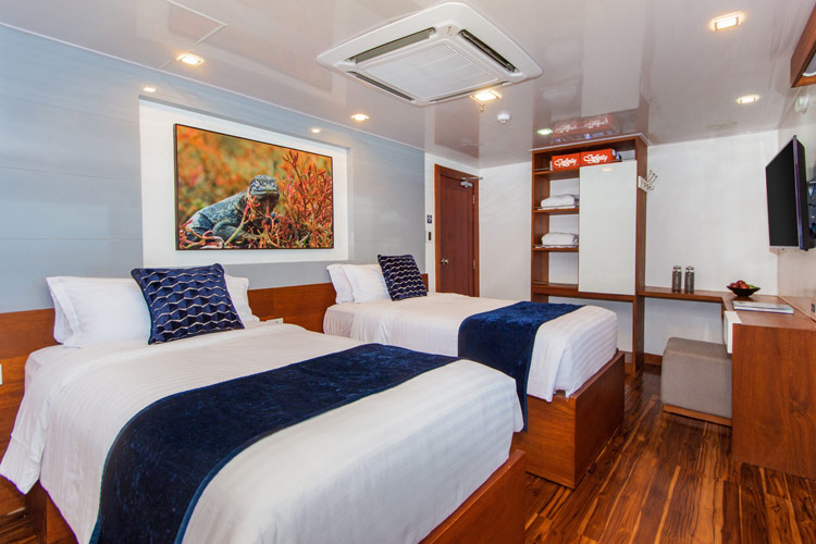 Infinity Cruise Cabin Elegant cabin with comfortable bed and natural light on Infinity cruise