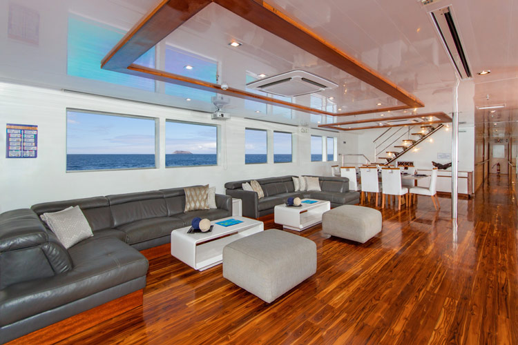 Infinity Cruise Lounge Area Comfortable lounge area with panoramic windows on Infinity cruise