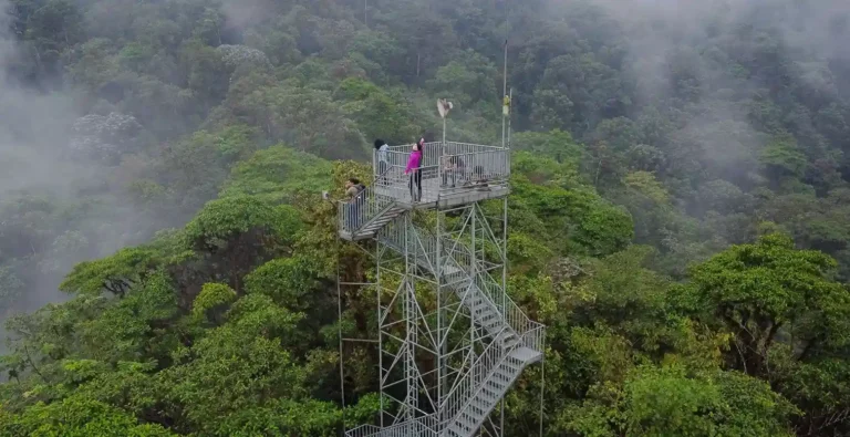 mashpi-lodge-observation-tower-panoramic