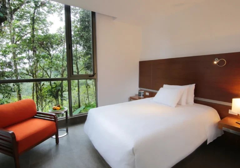 mashpi-lodge-rooms-wawa-room