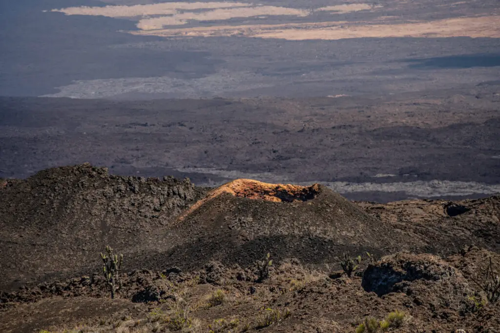 Barren volcanic landscape with dark, rocky terrain and distant layered hills; sparse desert plants in the foreground.