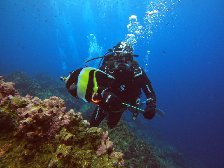 Scuba diver in black and yellow suit exploring a rocky coral reef underwater with bubbles rising.