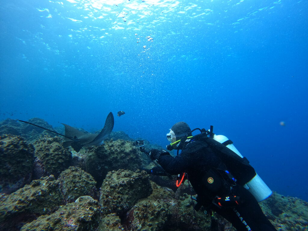 Diver in scuba gear near a rocky coral reef, bubbles rising, underwater blue ocean around. A manta ray glides nearby.