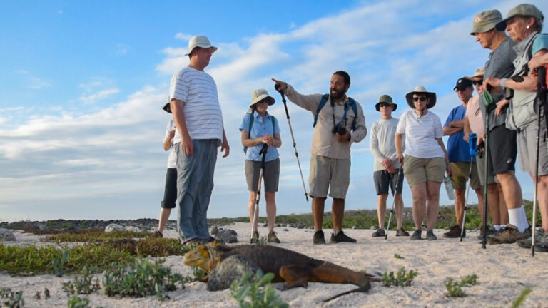 Group of hikers on a sandy trail watching a large lizard as a guide explains nearby.