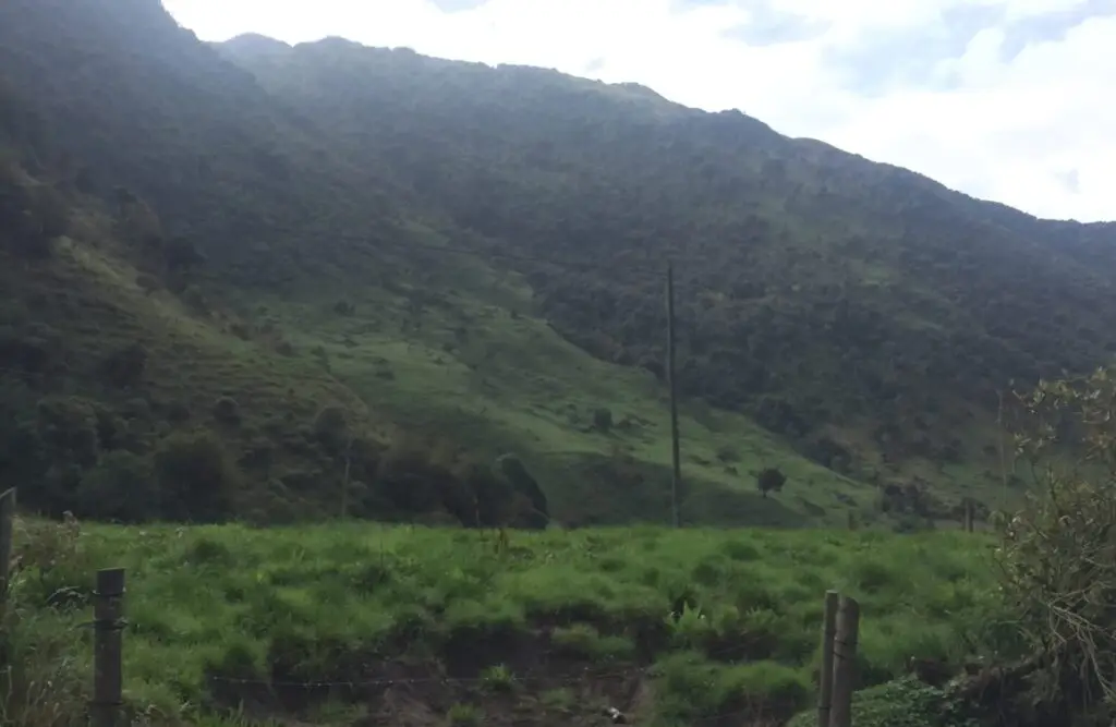Wide green valley with forested mountain slopes in the background; a lone utility pole and a simple fence run along the foreground.