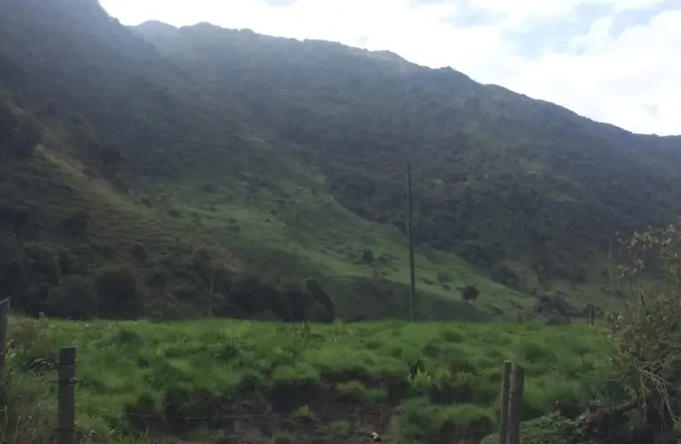 Wide green valley with forested mountain slopes in the background; a lone utility pole and a simple fence run along the foreground.