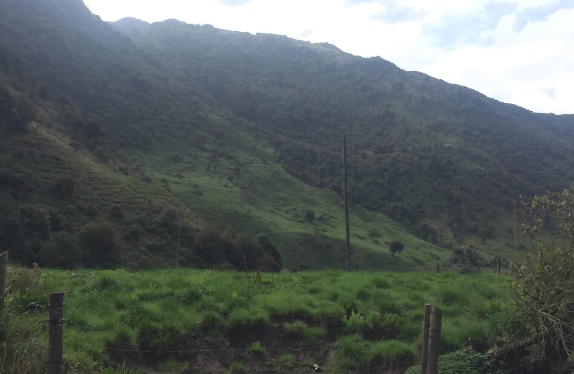 Wide green valley with forested mountain slopes in the background; a lone utility pole and a simple fence run along the foreground.