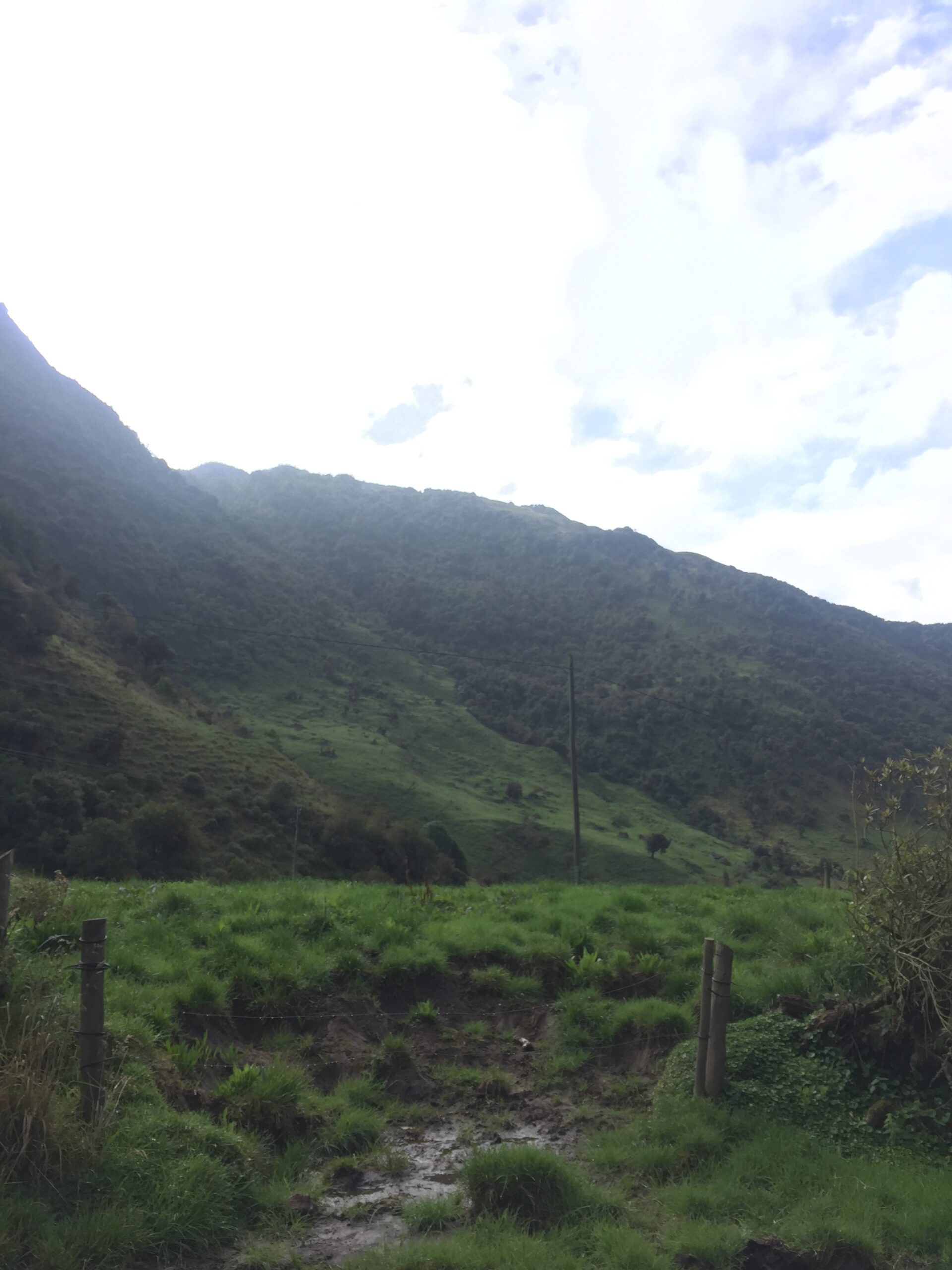 Relax in Papallacta – Thermal Waters and Scenic Views Papallacta Hot Springs Tour
