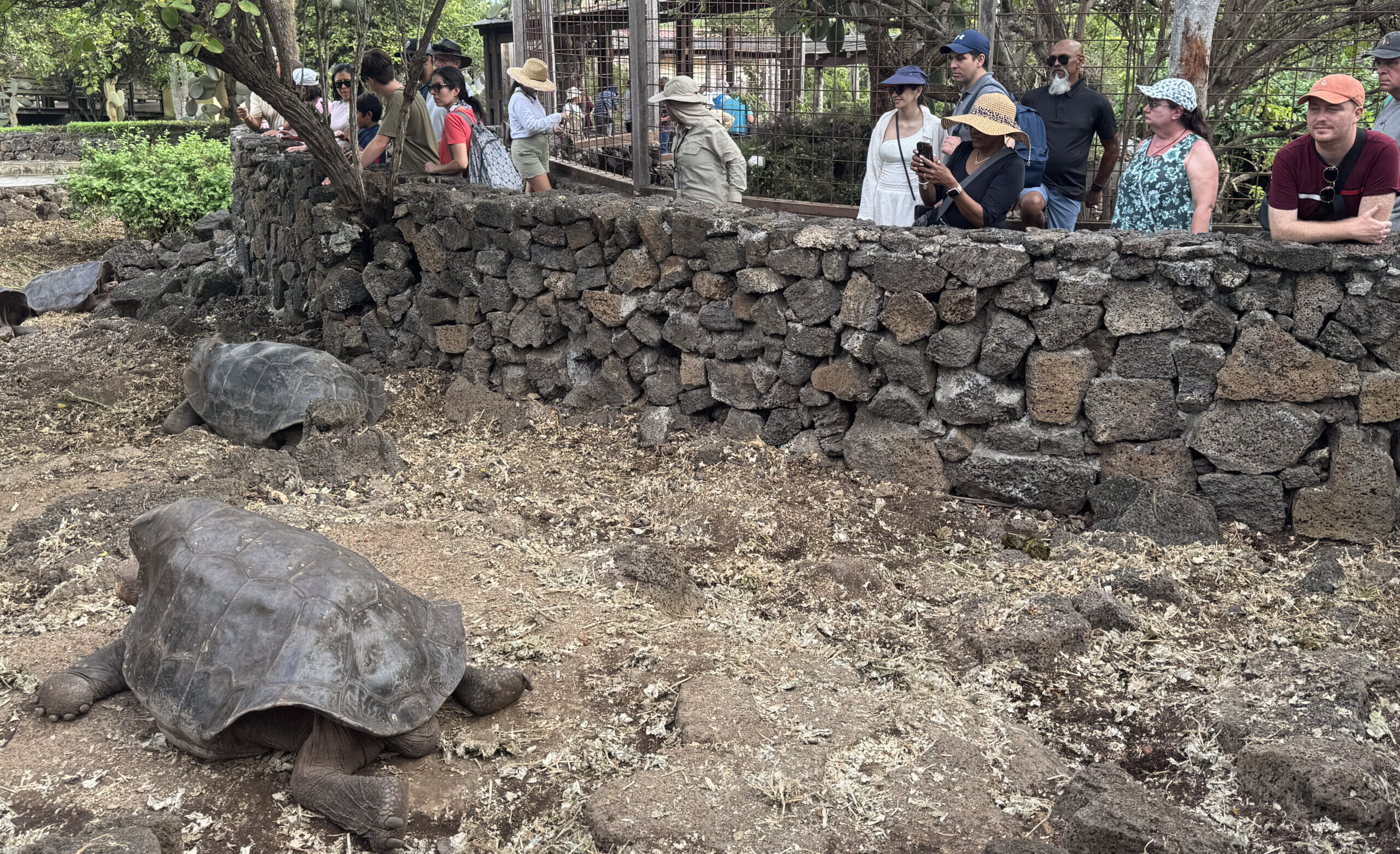 turtle reserve