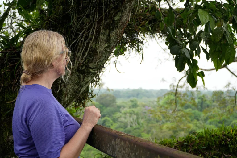 Older woman with blonde hair, wearing a purple top, standing at a railing and looking out over a green valley behind a tree.
