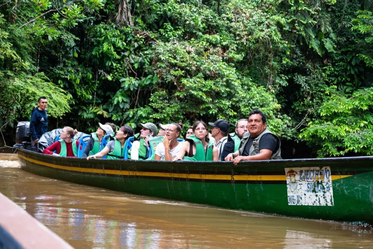 amazon wildlife