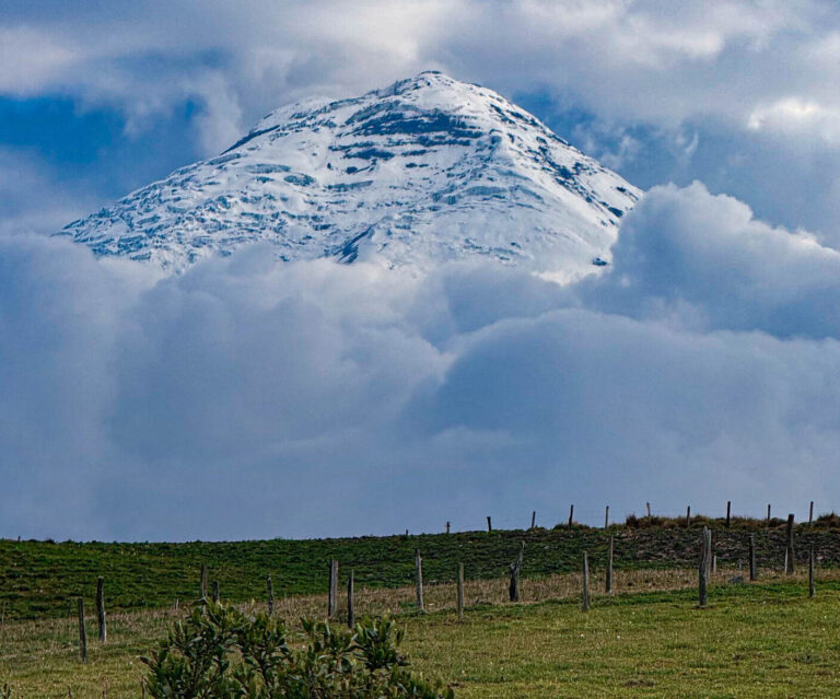 Snowy mountain peak rising above dense clouds, seen from a grassy pasture with a wooden fence.