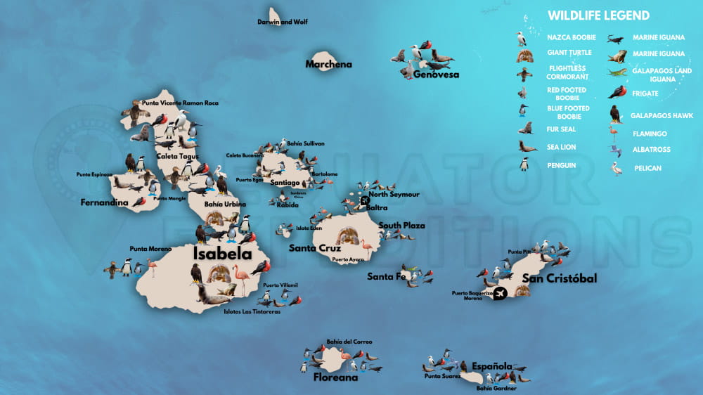 Illustrated map of the Galápagos Islands with island names and wildlife icons, plus a legend in the upper right.