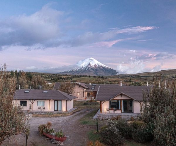 Suburban houses in the foreground with a snow-covered mountain rising in the distance under a blue sky.