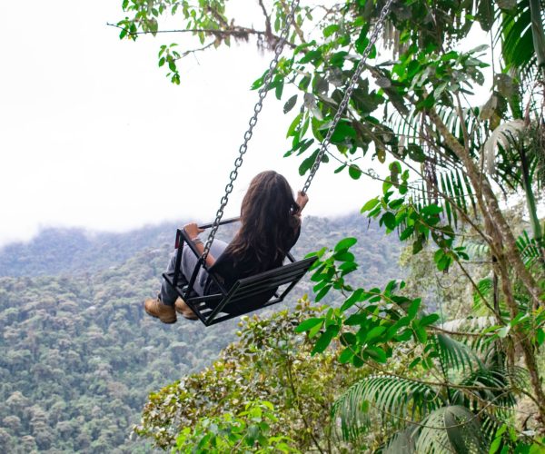 Person sits on a swing hanging from a metal frame among lush tropical plants with a distant mountain valley in view.