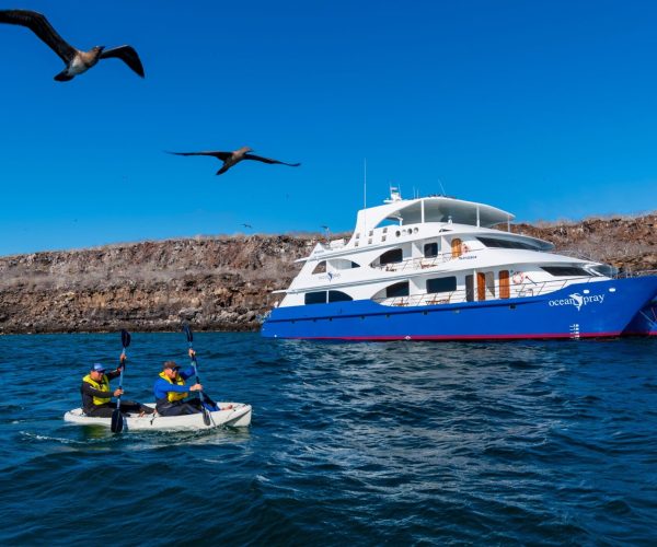 Two kayakers in a small white kayak paddling on blue water with a large white-and-blue yacht and rocky breakwater in the background; seagulls fly overhead.