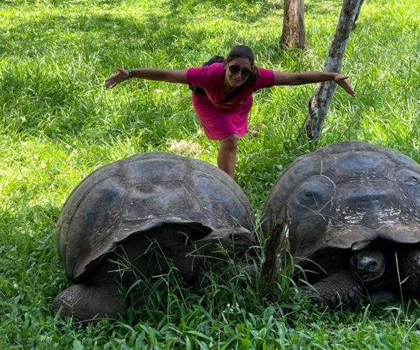 Person in a pink dress balances with arms outstretched on two large tortoise shells in a grassy outdoor area, wearing sunglasses.