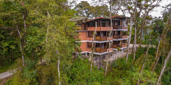 Bellavista Cloud Forest Lodge Photos-5