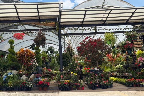 Diseño sin título (5)